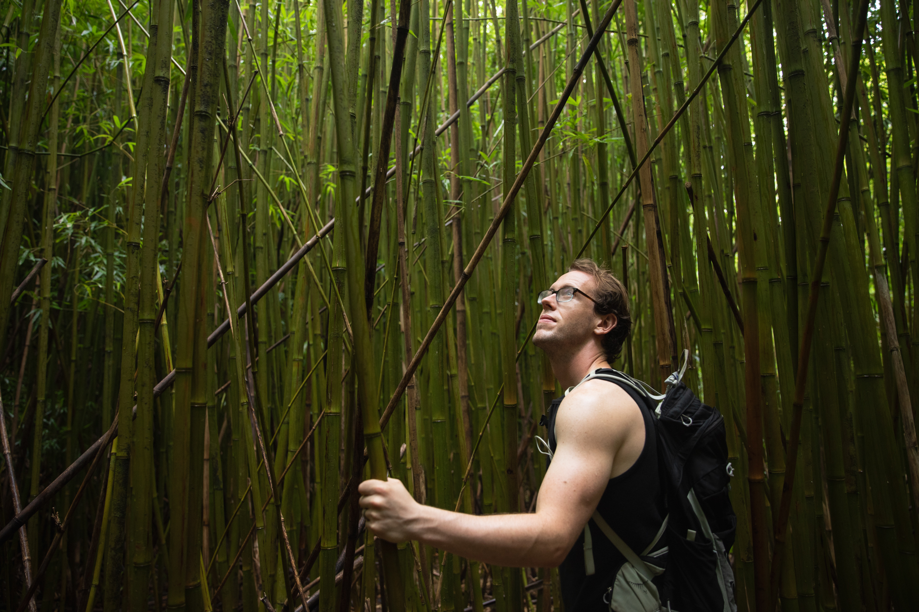 26-kelsey-floyd-maui-hawaii-wellness-bamboo-forest-mindful-hiking-photography