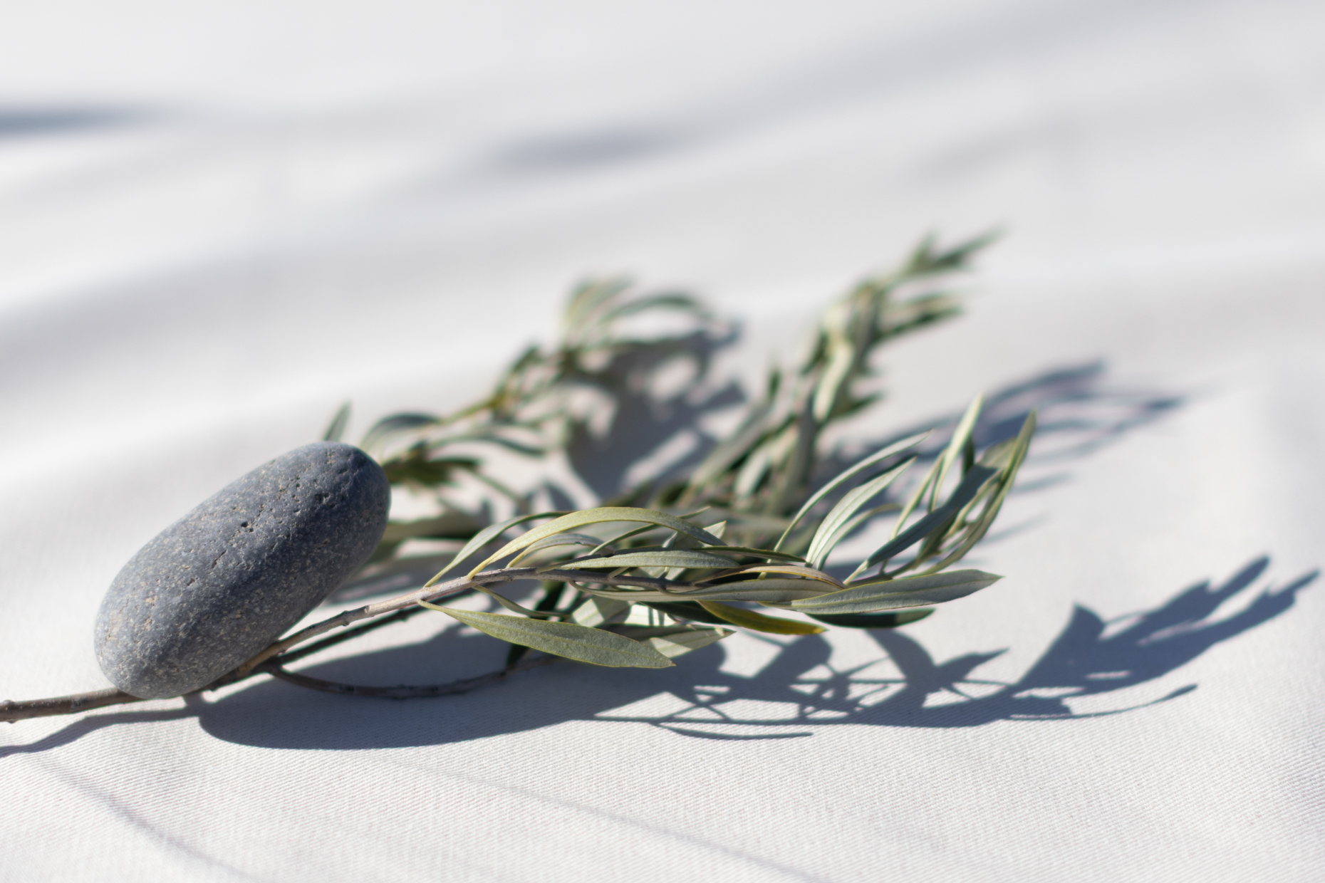 34-kelsey-floyd-california-nature-stone-olive-branch-wellness-brand-photography