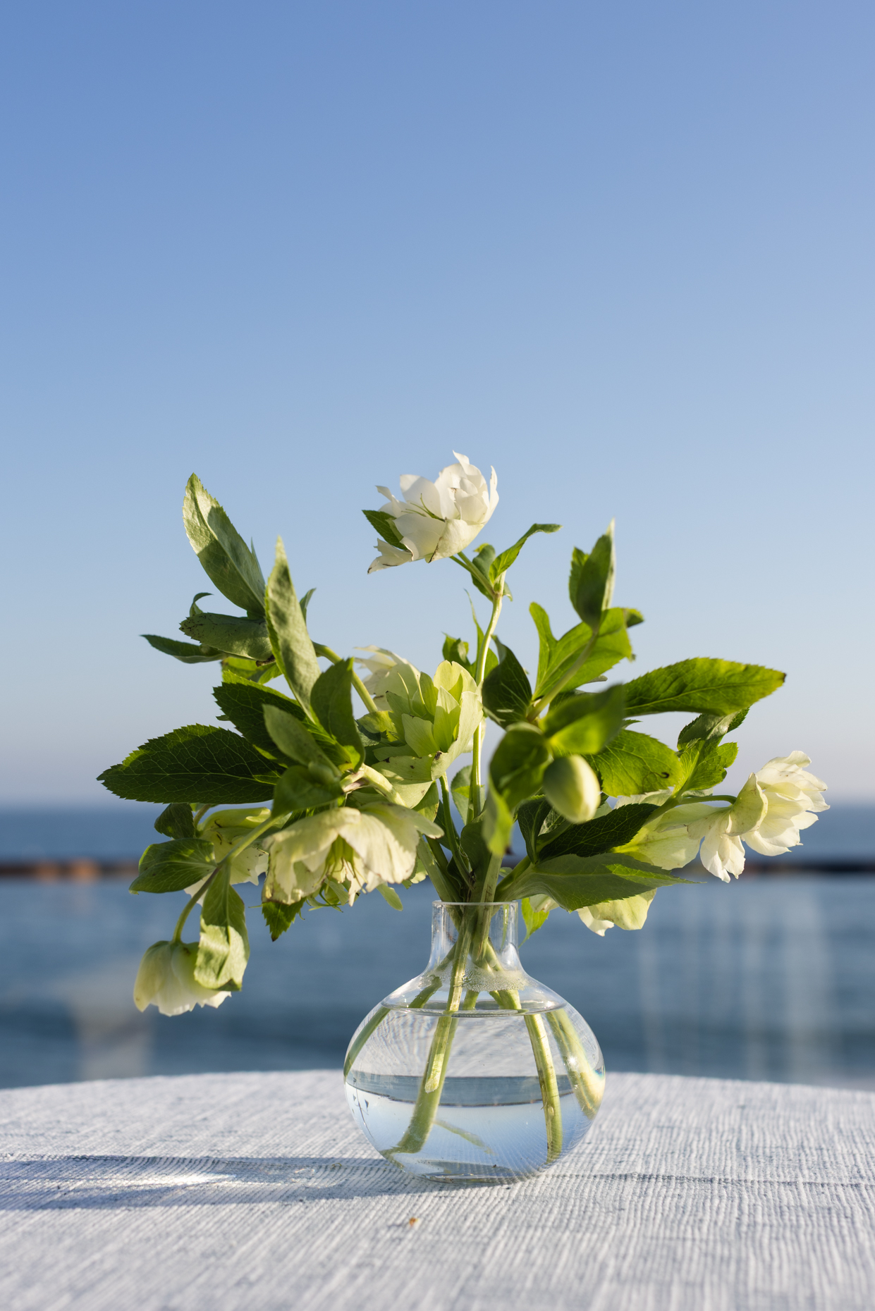 43-kelsey-floyd-wellness-retreat-photography-floral-arrangement-bay-area