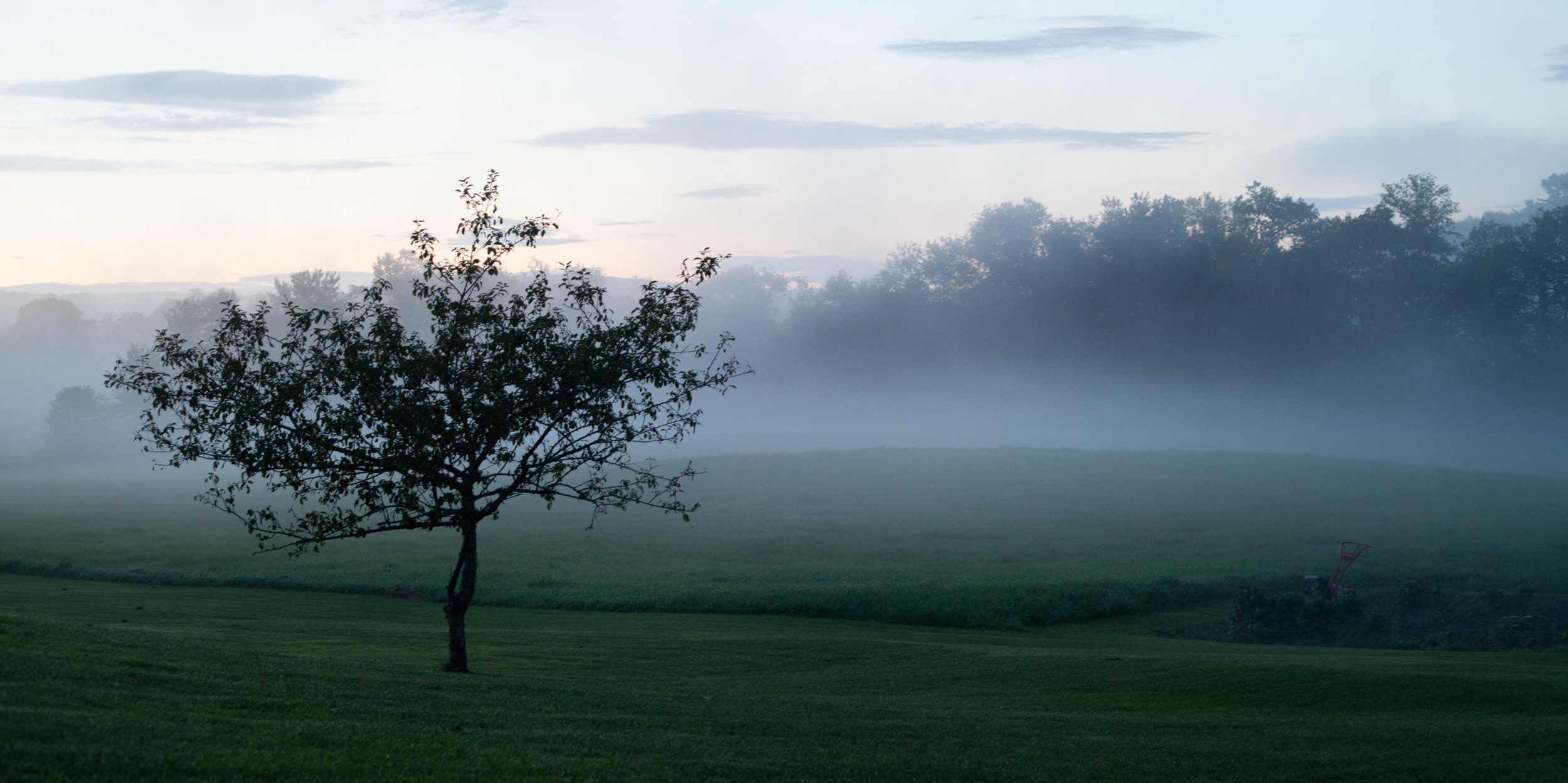 77-kelsey-floyd-maine-minimal-landscape-photography-foggy-field-solitary-tree