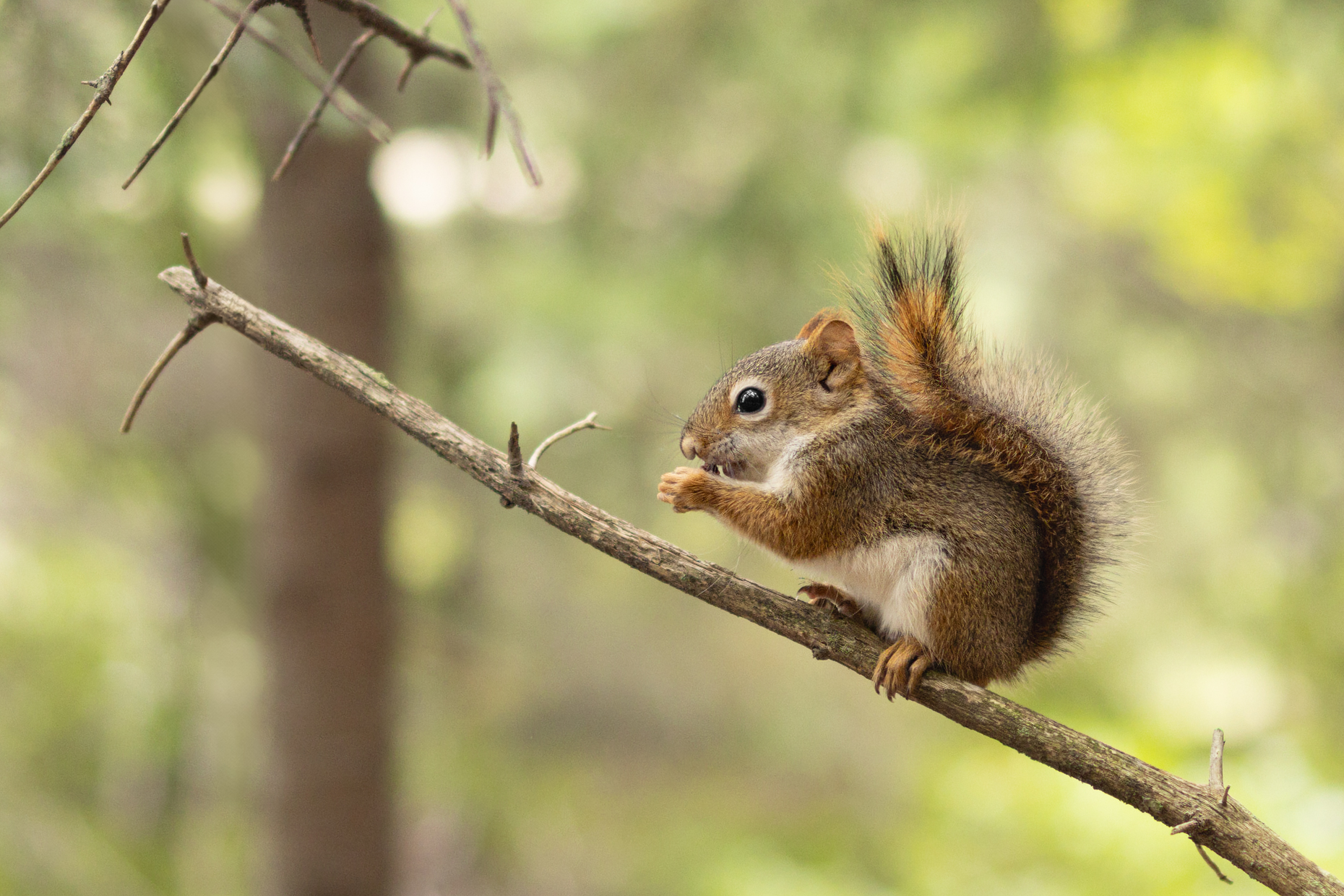 kelsey-floyd-active-34