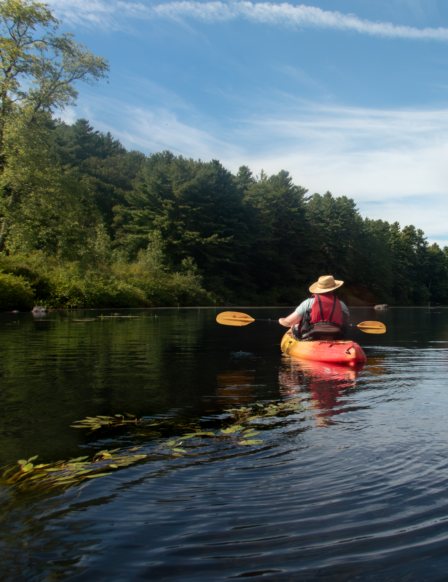 kelsey-floyd-active-69