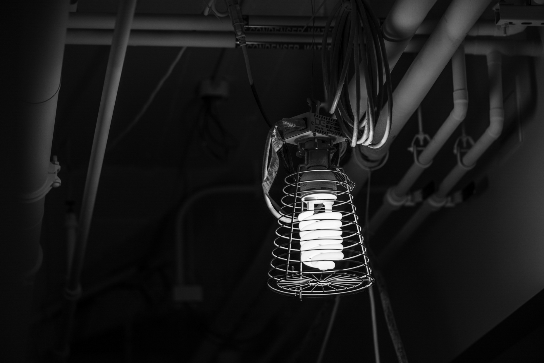 kelsey-floyd-gci-corporate-fine-art-19