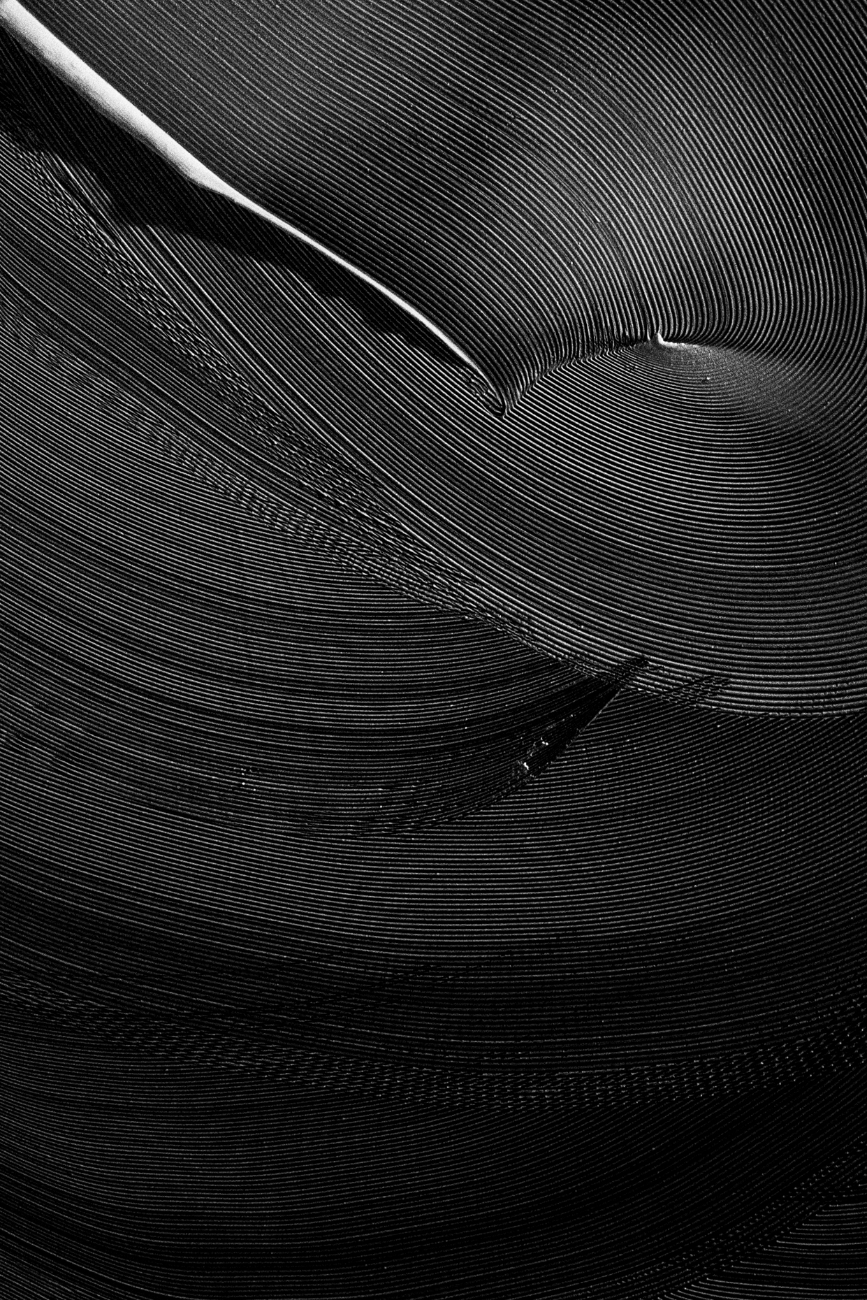 kelsey-floyd-gci-corporate-fine-art-30